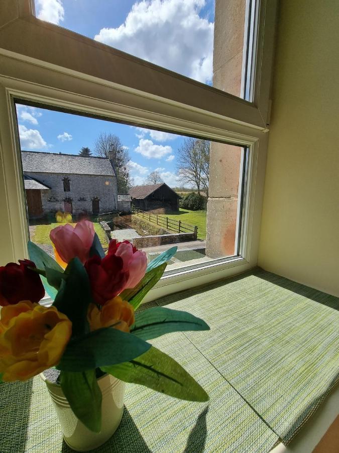 La Fresnee Chambres D'Hotes Mosles エクステリア 写真
